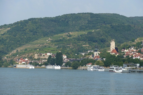 ATKRE - Krems, Austria - Falco.jpg